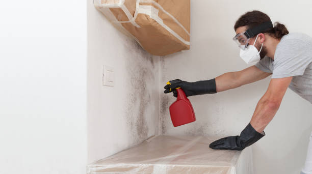 Professional Mold Removal technician working in Gates, NC