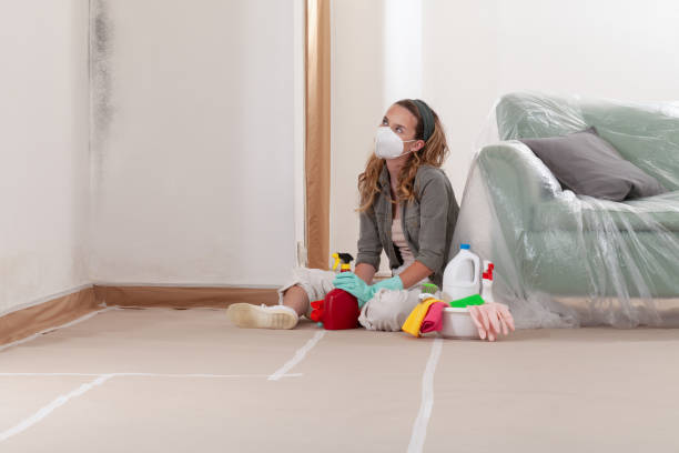 Reliable Mold Removal contractor in Gates, NC by WQB Mold Removal